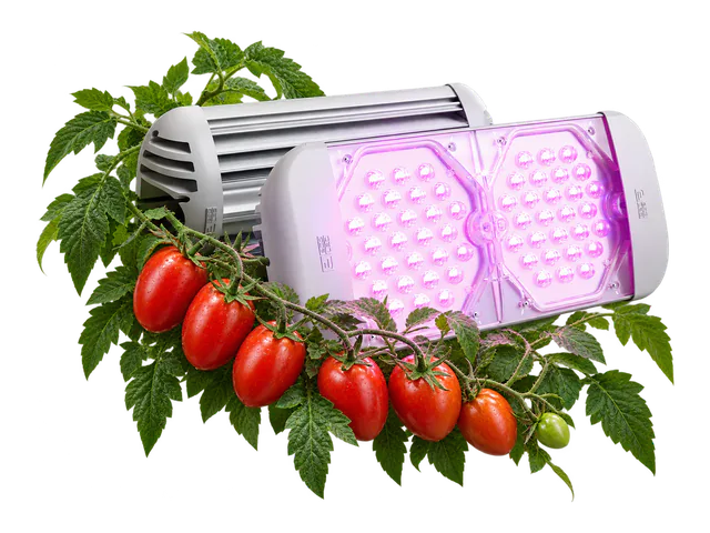 Фитосветильник ECOLED-BIO F-UniversaLED · Томаты