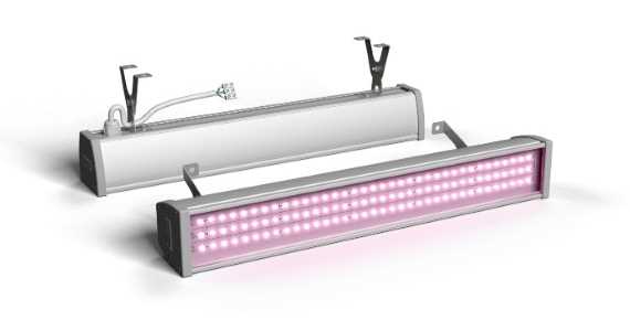 Фитосветильник для фитотрона и камеры выращивания ECOLED-BIO-30W-xx F-OPTIMA