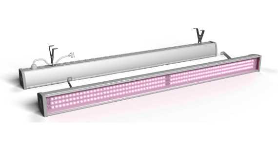 Фитолампа для дерева ECOLED-BIO-60W-xx F-OPTIMA