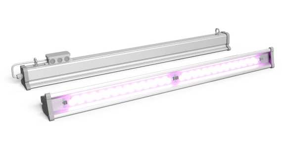 Фитолампа для дерева ECOLED-BIO-100W-xx F-LINE IP67