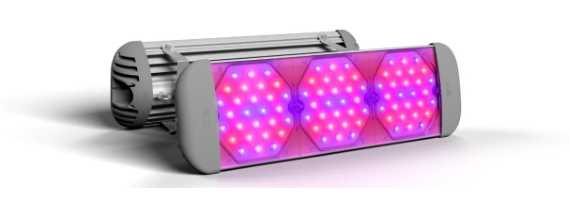 Фитосветильник для зимней досветки салата ECOLED-BIO-84-130W-xx F-UniversaLED