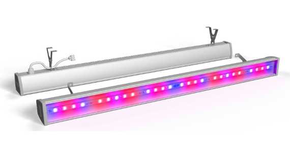 Фитосветильник ECOLED-60W-VL-xx Fito IP65