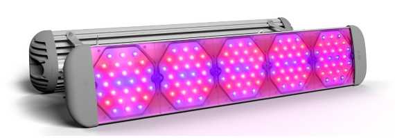 Фитосветильник для зимней досветки салата ECOLED-BIO-140-235W-xx F-UniversaLED