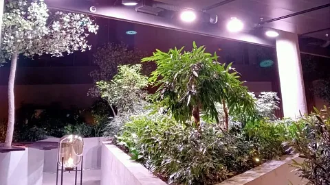 Проект ECOLED-BIO: Досветка оранжереи в лобби бизнес-центра «Брусника»