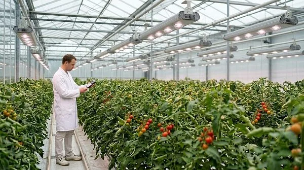 Многоканальные фитосветильники: датчики спектра и автоматизация в теплицах