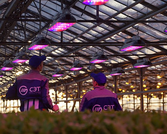 Светодиодная досветка ECOLED-BIO: Пилотный проект LED-досветки в тепличном комплексе «Труженик», фото 1