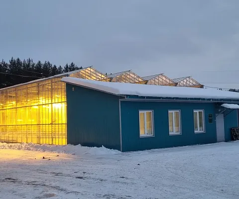 Проект ECOLED-BIO: Гибридная досветка огурца в теплице Кунгурского сельхозколледжа