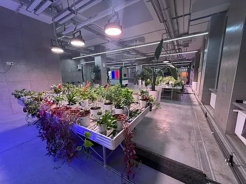 Материал ECOLED-BIO: Учебная биолаборатория под Долгопрудным получила две схемы света в одном помещении