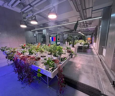 Проект ECOLED-BIO: Досветка биолаборатории «БиоХимТех» в технопарке Физтех-лицея