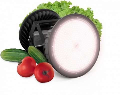 Новость ECOLED-BIO: НОВИНКА. ВЫСОКОМОЩНЫЙ «F-RING»