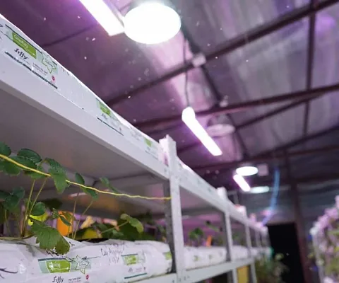 Проект ECOLED-BIO: Межстеллажная досветка светильниками ECOLED-BIO для ИНК-Групп