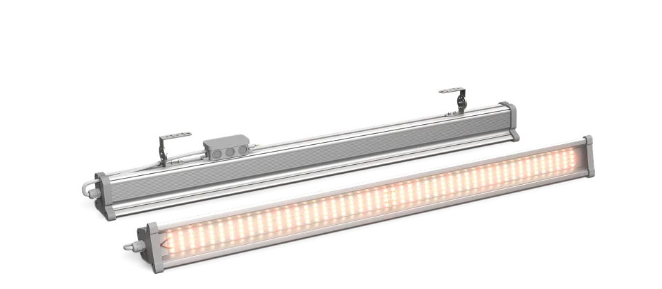 Фитосветильники ECOLED-BIO серии F-Line